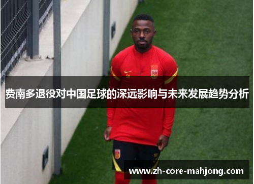 费南多退役对中国足球的深远影响与未来发展趋势分析