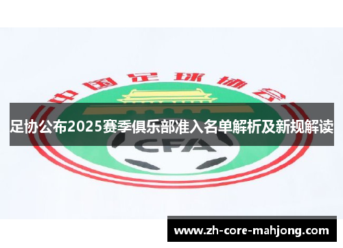 足协公布2025赛季俱乐部准入名单解析及新规解读